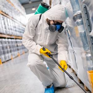 Pest city USA Pest City USA